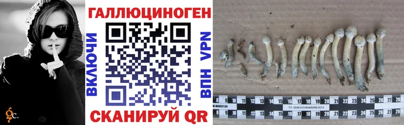 ссылка на мегу как войти  Пермь  Галлюциногенные грибы Cubensis 